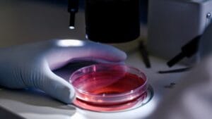 revista pharma market