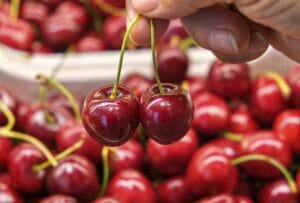 frutas alimentación dieta equilibrada