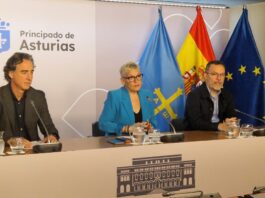 El Gobierno de Asturias crea la Coordinación Asistencial de Ictus para centralizar y agilizar las decisiones en la fase aguda de la patología Asturias código ictus