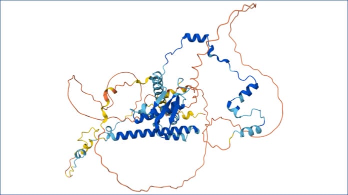 proteinas ADN