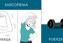 Una dieta sana con adecuado aporte proteico y de vitamina D, junto al ejercicio físico: pilares clave frente a la sarcopenia