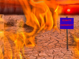 emergencia climática