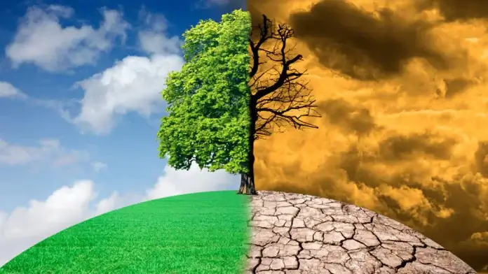 gty_220427_climate_change_tree_800x450 cambio climático
