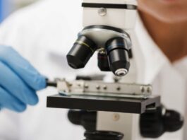 investigación mieloma múltiple