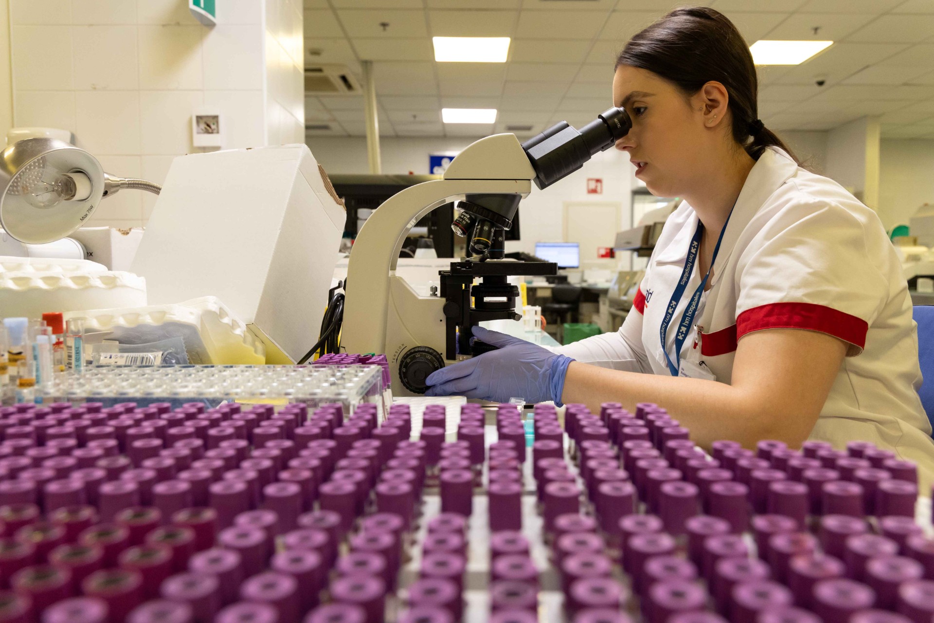 CART-T cáncer hematologico