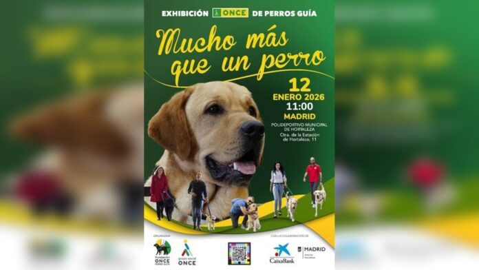 cartel perro guia