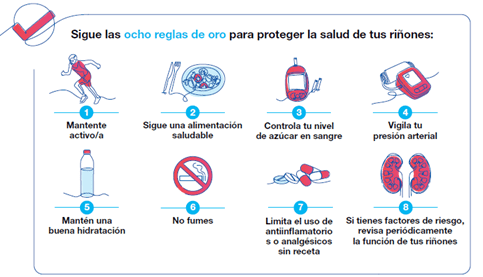 Dia Mundial del Riñón