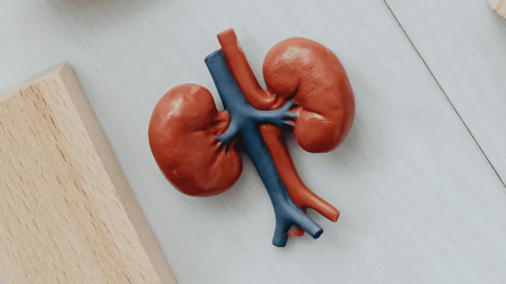 riñon enfermedad renal crónica