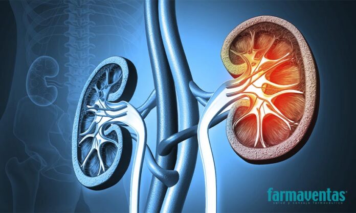 enfermedad renal cronica