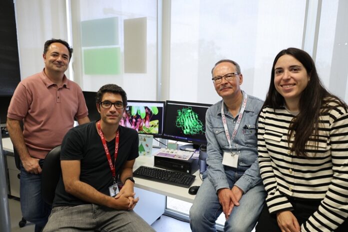 Universidad de Barcelona enfermedad celíaca