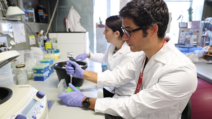 Universidad de Barcelona enfermedad celíaca