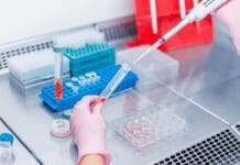 Inmunología, la ciencia que llegó antes que el problema inmunología