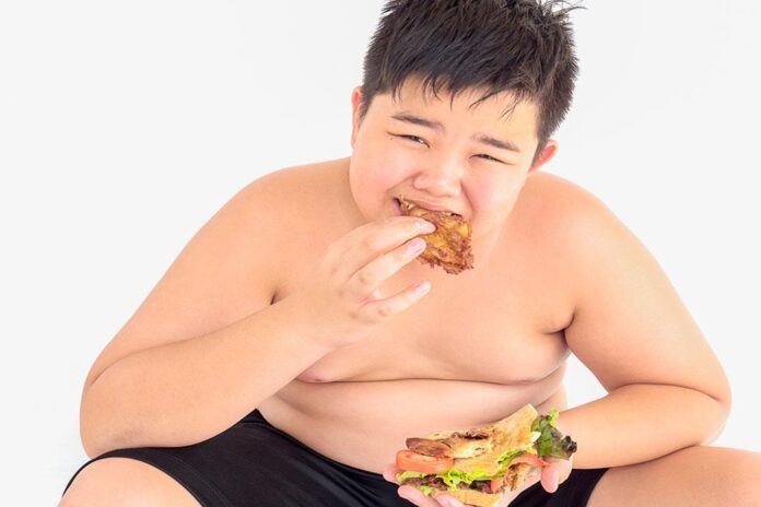 obesidad