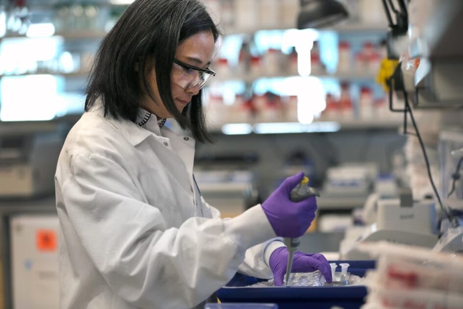 laboratorio