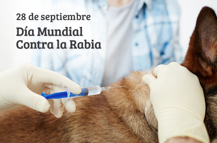 dia mundial contra la rabia