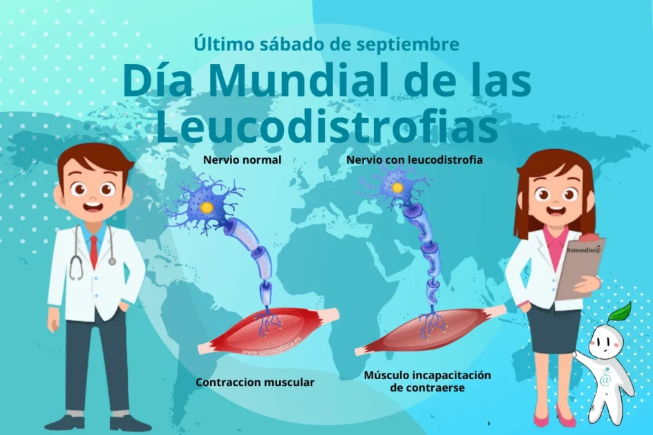 Dia-Mundial-de-las-Leucodistrofias-1.png Dia-Mundial-de-las-Leucodistrofias-1.png