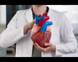 Cardiologia