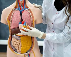 Medicina Interna