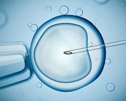 Fertilidad y reproducción asistida